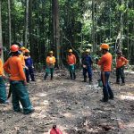 Foto de um grupo de trabalhadores com EPI, em círculo, na floresta, antes do início das atividades de colheita de madeira