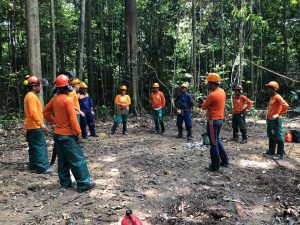 Foto de um grupo de trabalhadores com EPI, em círculo, na floresta, antes do início das atividades de colheita de madeira